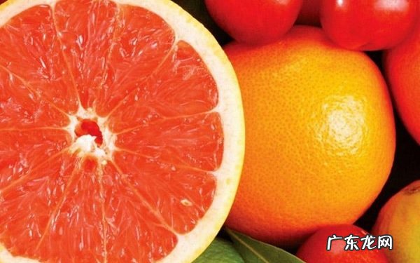 文旦和柚子的区别两者有什么不同