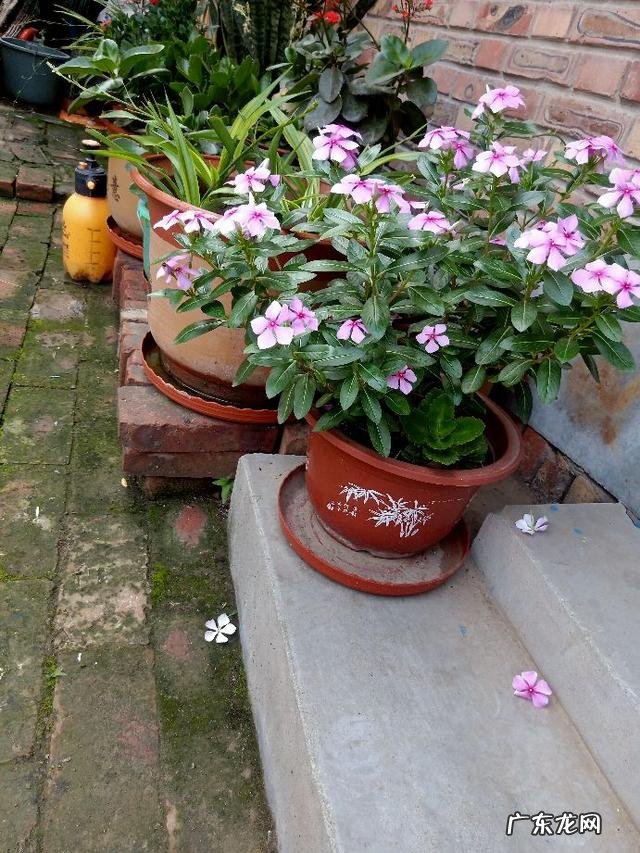 坟地埋鞋是什么意思 鞋子埋在土里是什么意思?