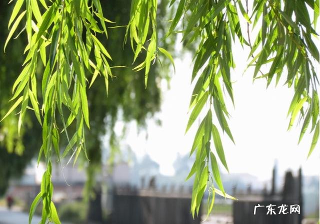 最佳风水格局 最吉利的风水格局图解