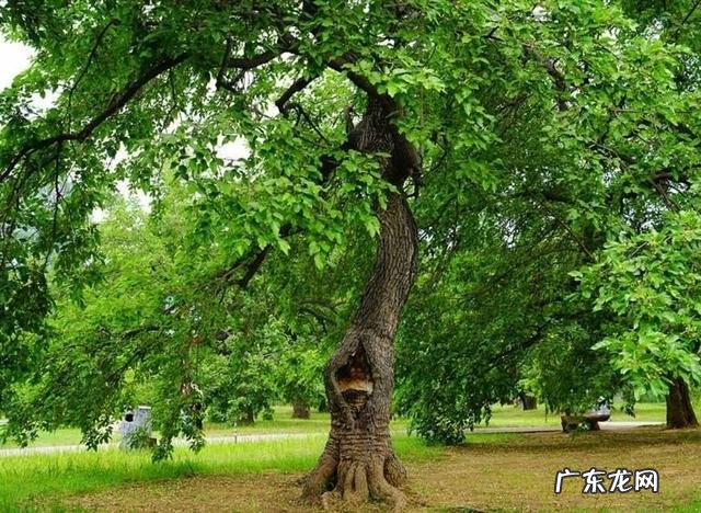 最佳风水格局 最吉利的风水格局图解