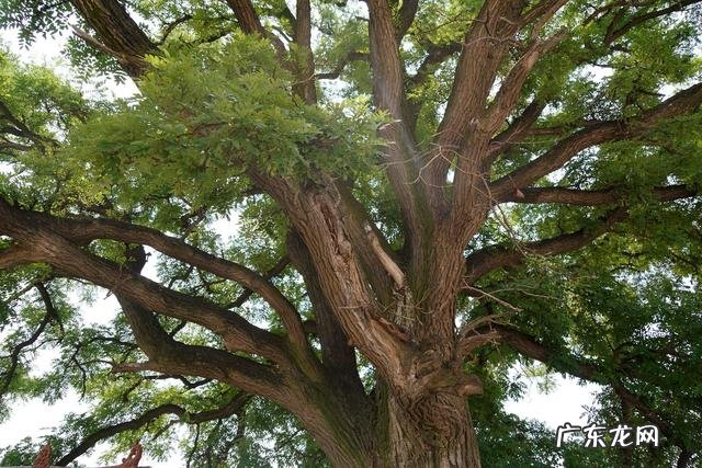 最佳风水格局 最吉利的风水格局图解