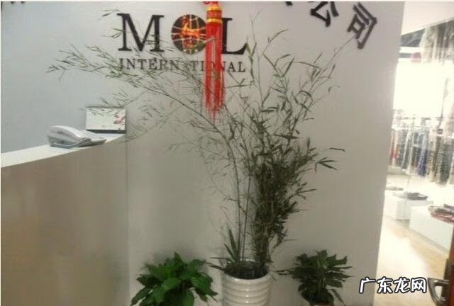 家里出车祸是风水哪里有问题 单位出车祸是犯了什么风水吗