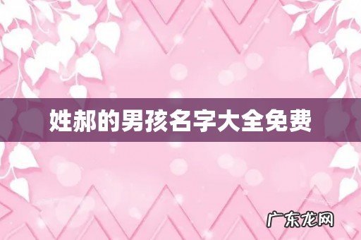 姓郝的男孩名字大全免费