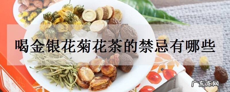喝金银花菊花茶的禁忌有哪些