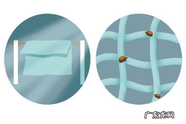 头长了红色疙瘩 头皮起红疙瘩是怎么回事