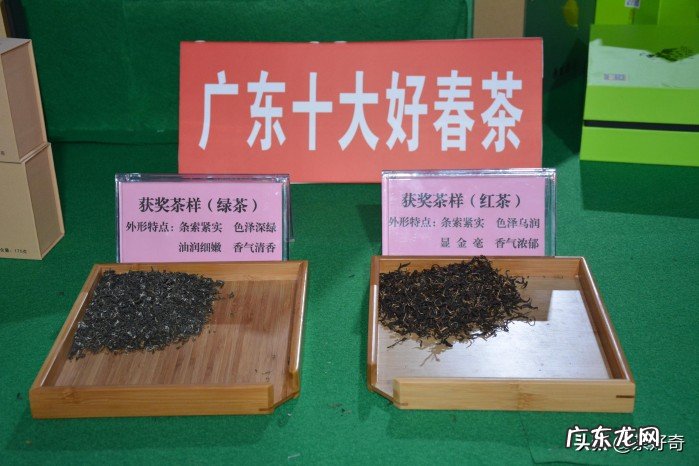 比较好喝的绿茶品牌盘点 绿茶排名前十名品牌一览