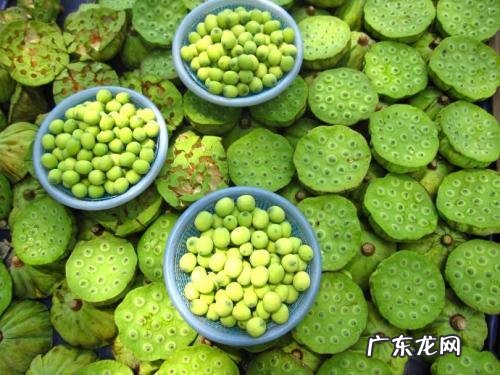 莲子心茶功效 莲子心茶可以长期喝吗