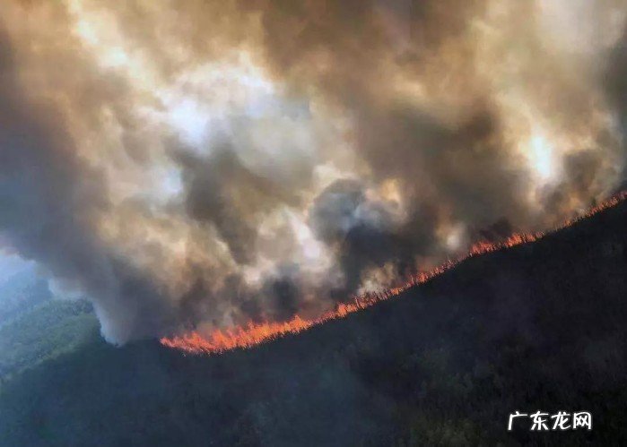 巴西热带雨林火灾原因 热带雨林发生了几次火灾