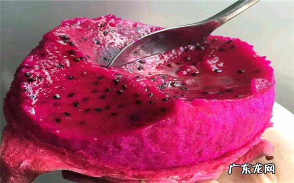 红心火龙果榨汁配什么如何榨汁