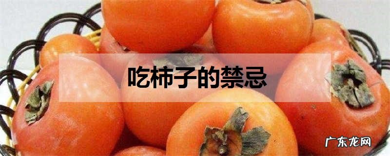 吃柿子的禁忌有什么好处