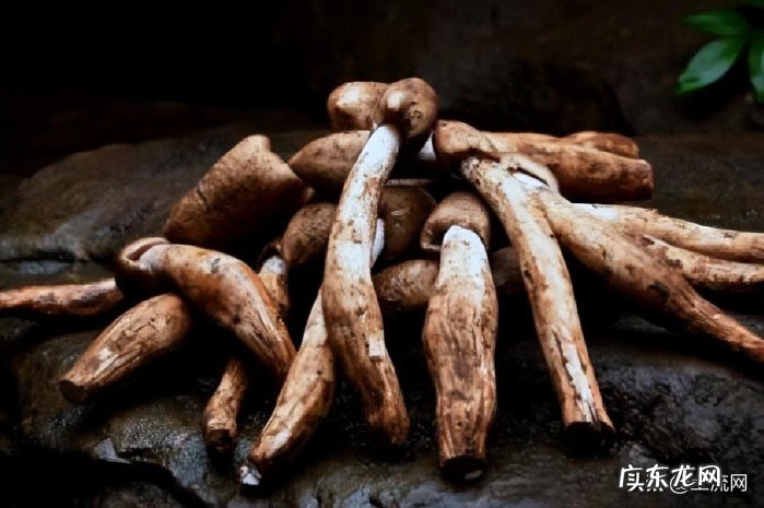 附各地鸡枞菌最新价格 现在鸡枞菌多少钱一斤