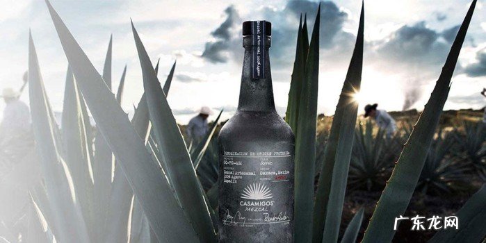 墨西哥十大龙舌兰酒品牌 最好的龙舌兰酒品牌有哪些