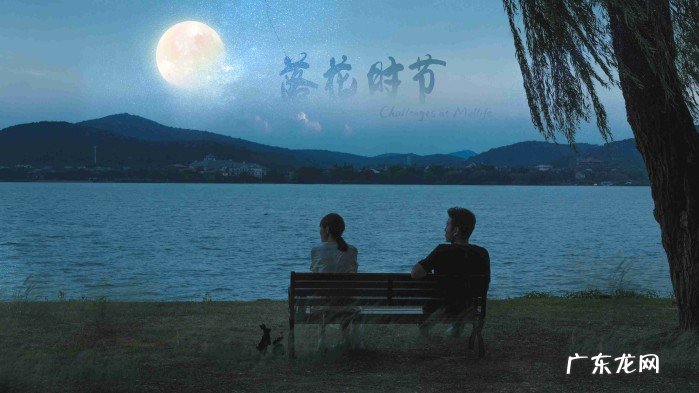 最好看的谍战剧名单一览 最新谍战剧2022排行榜