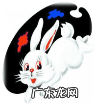 大白兔动画片有哪些