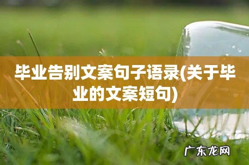 关于毕业的文案短句 毕业告别文案句子语录