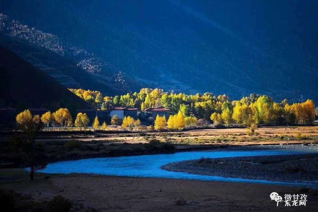 有关团结的谚语有哪些 说明团结的谚语