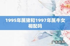 1995年属猪和1997年属牛女相配吗