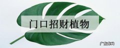 门口招财植物有哪些家门口摆放什么好