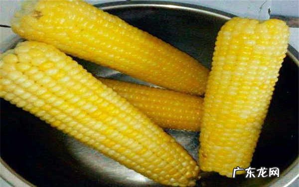 玉米一天可以吃几根天天吃玉米好吗
