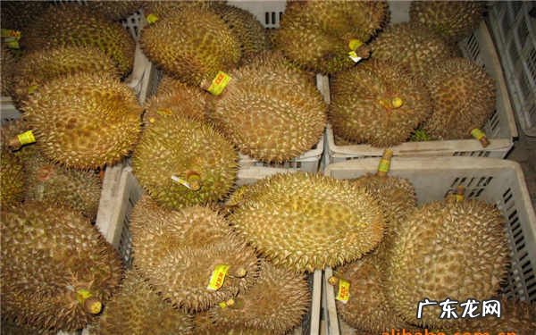 一块榴莲的热量相当于几碗饭