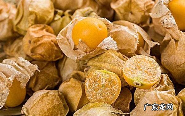 姑娘果的副作用一天吃几个合适