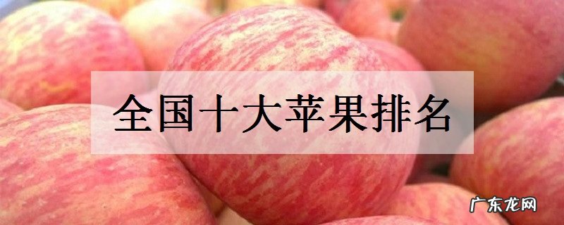 全国十大苹果排名哪些苹果品种最有名