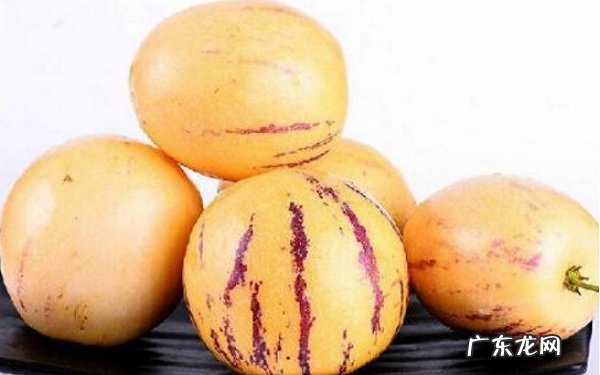 什么人不能吃人参果不能与哪些食材一起吃