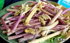 蕨菜致癌是真的吗蕨菜怎么吃
