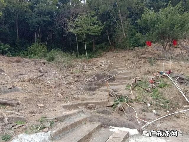 下山蜈蚣形风水宝地 风水宝地蜈蚣地