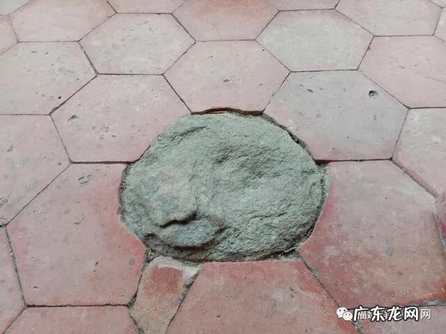 下山蜈蚣形风水宝地 风水宝地蜈蚣地