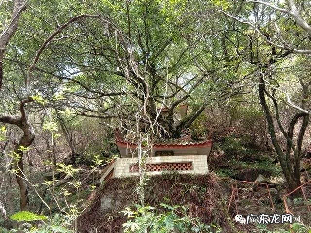 下山蜈蚣形风水宝地 风水宝地蜈蚣地