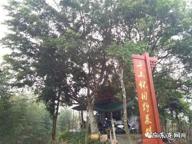 下山蜈蚣形风水宝地 风水宝地蜈蚣地