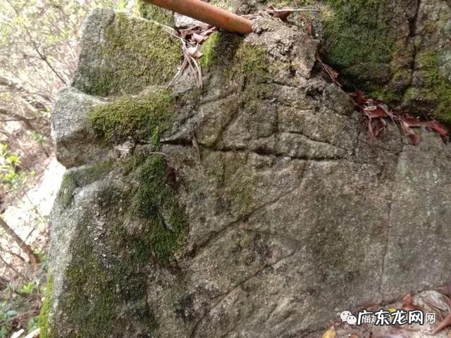 下山蜈蚣形风水宝地 风水宝地蜈蚣地