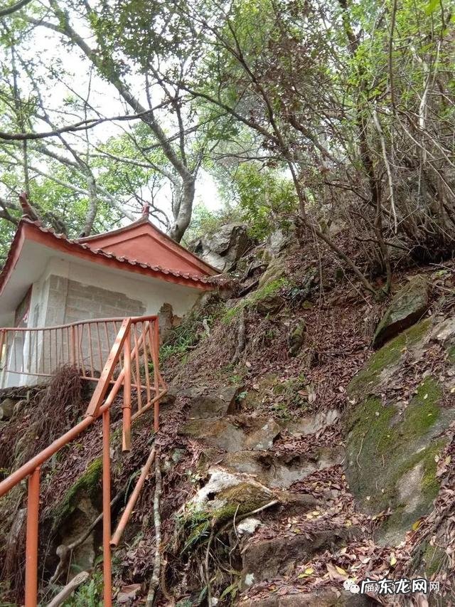 下山蜈蚣形风水宝地 风水宝地蜈蚣地