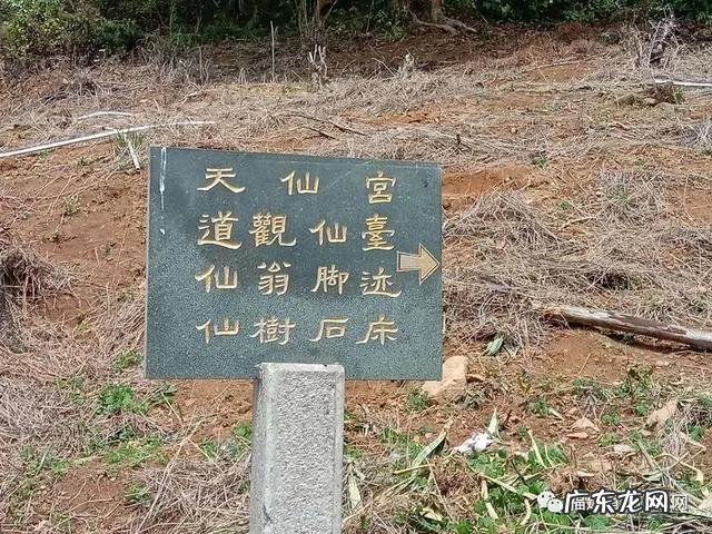 下山蜈蚣形风水宝地 风水宝地蜈蚣地