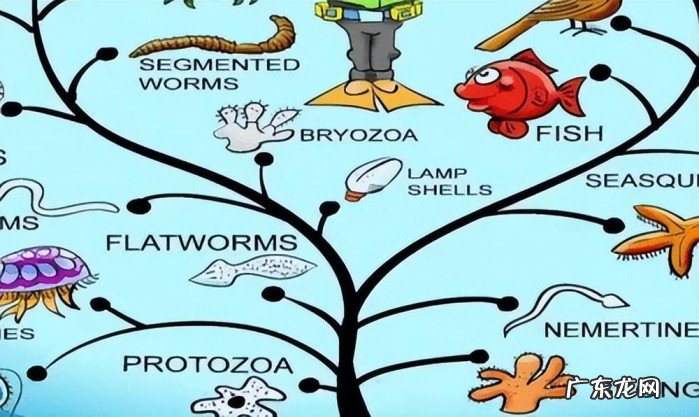 中国人的祖先究竟起源于哪里?我是谁我从何而来?