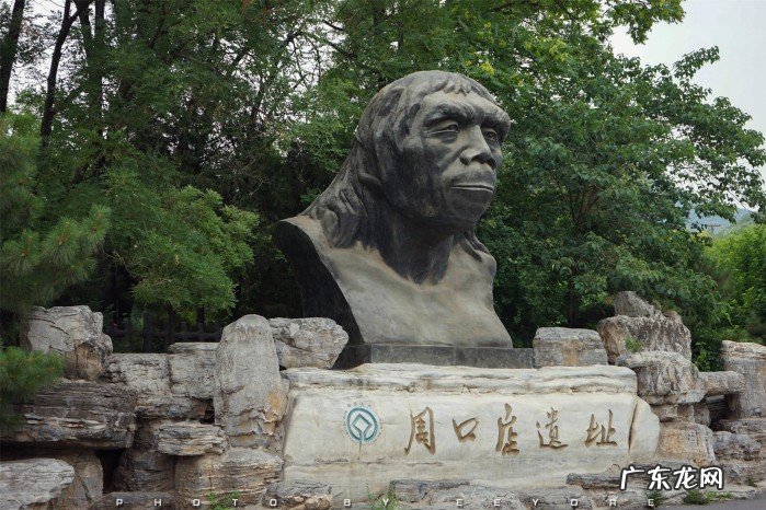 中国人的祖先究竟起源于哪里?我是谁我从何而来?