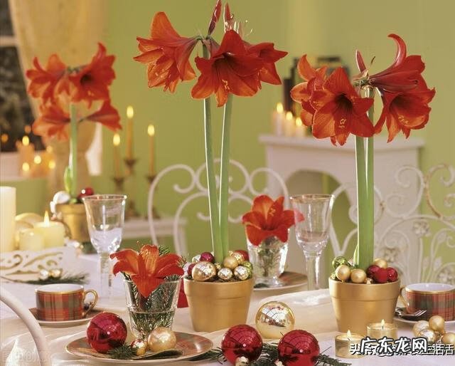 兰花的风水 兰指幽香风水