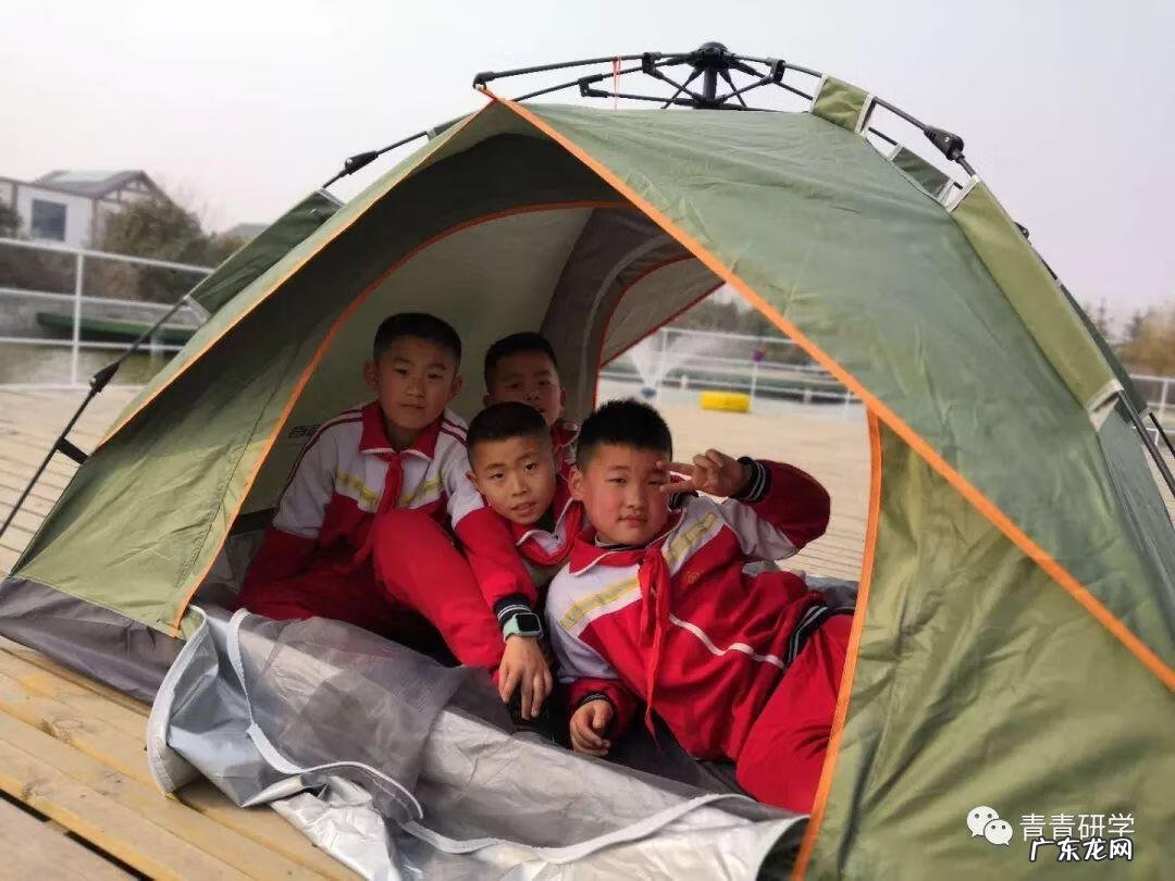 植树活动个人总结 社区植树节活动总结