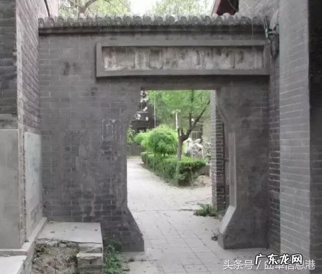 流苏树品种 流苏树的风水