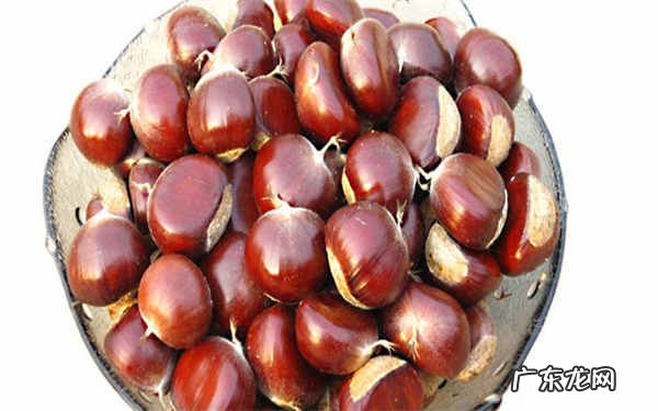 减肥可以吃板栗吗板栗的热量