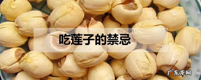 吃莲子的禁忌莲子怎么吃