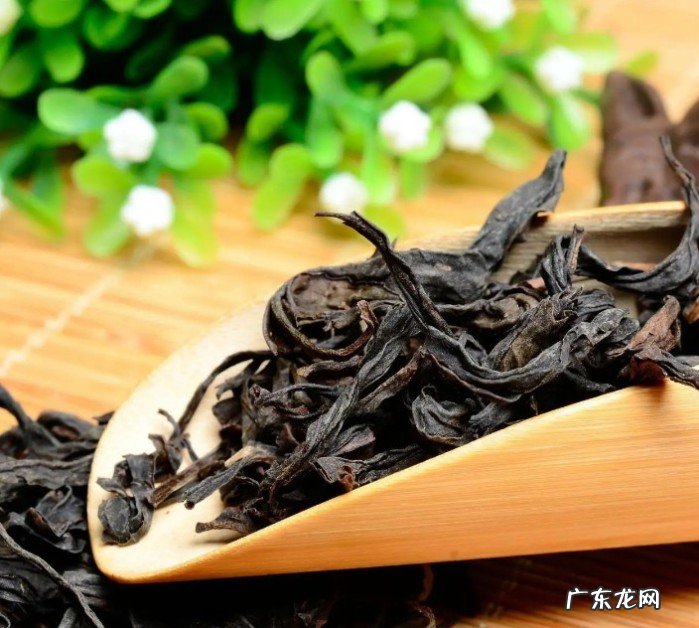 茶叶过期了能喝吗?不同茶类的保质期是多久?