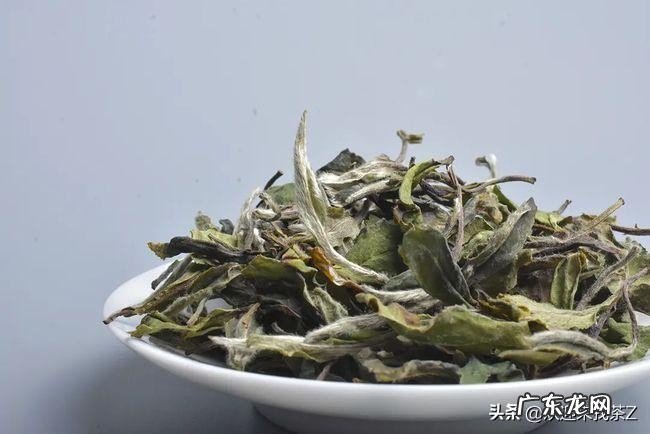 白茶可以收藏吗?那么白茶真的值得收藏吗?