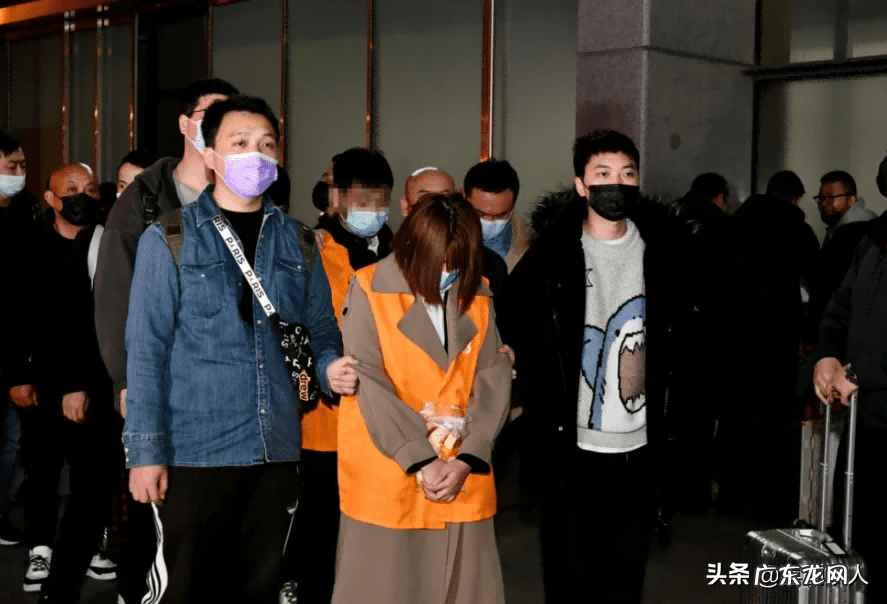 三鹿奶粉广告原版 三鹿奶粉广告2008