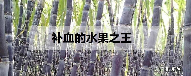 补血的水果之王什么水果补血