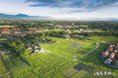 2022年流转土地国家每亩地补贴多少钱？承包100亩土地有补贴吗？