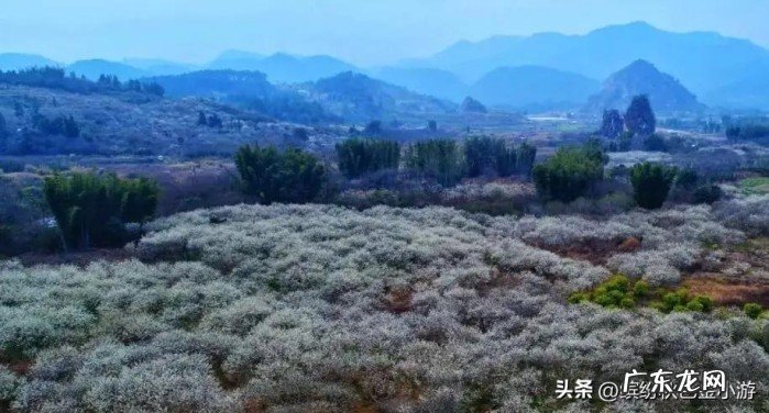 广州从化自驾游一日游攻略,从化一日游景点一览