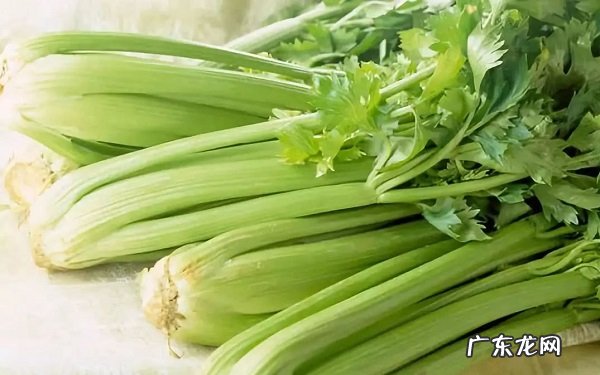 降压蔬菜水果排行榜吃什么食物能降压