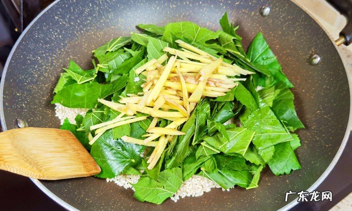 带你了解桑叶泡水喝竟有6个害处 桑叶茶又叫短命茶